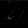 NERO MARQUINA
