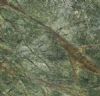 GREEN RAIN FOREST