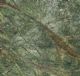 GREEN RAIN FOREST