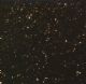 STAR GALAXY