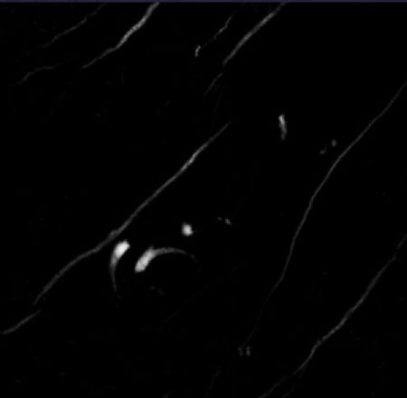 NERO MARQUINA